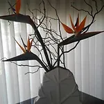 Casa Do Pitoco
